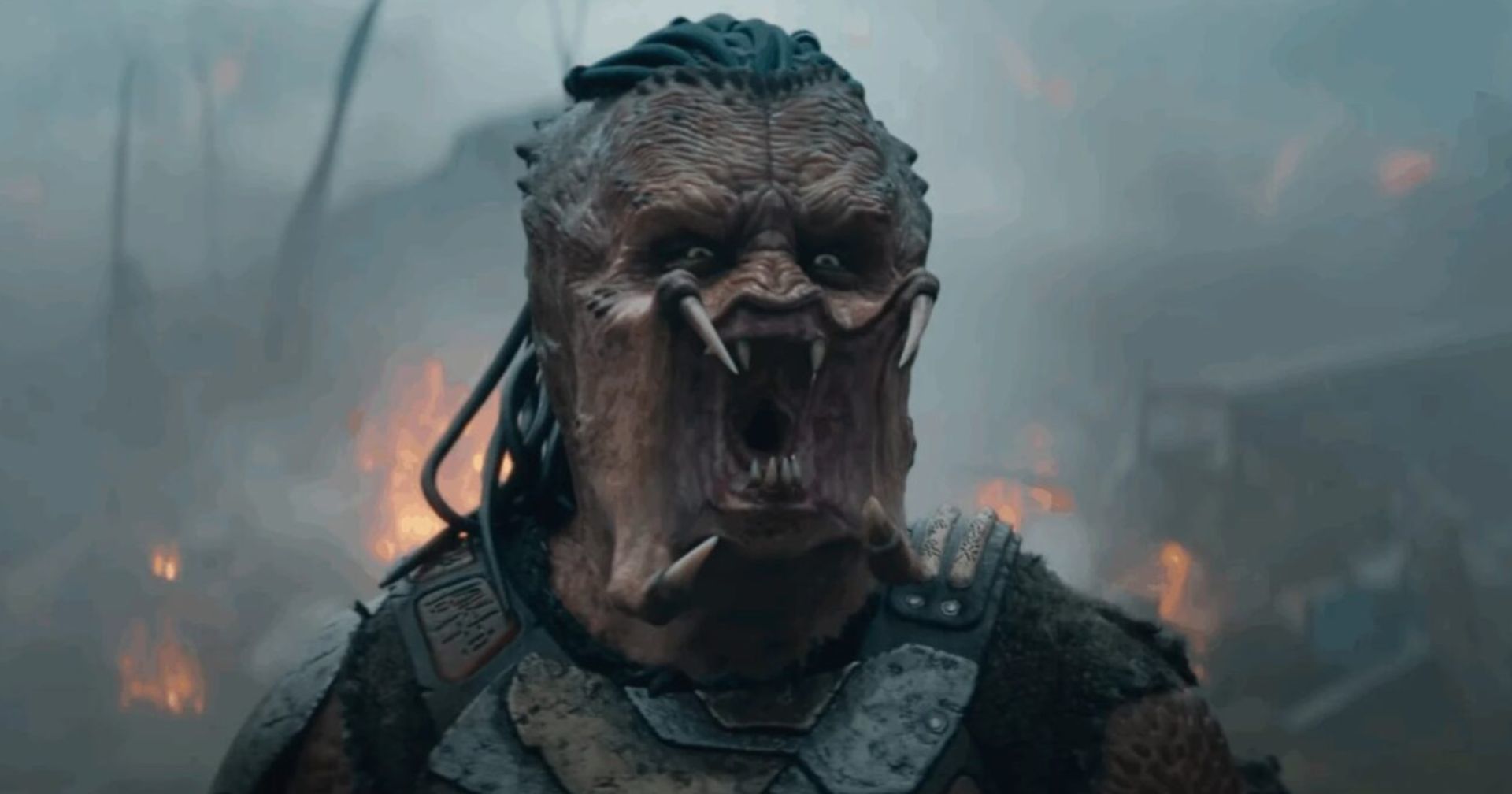 ‘Predador: Terras Selvagens’ bate recordes em estreia monstruosa no Disney+