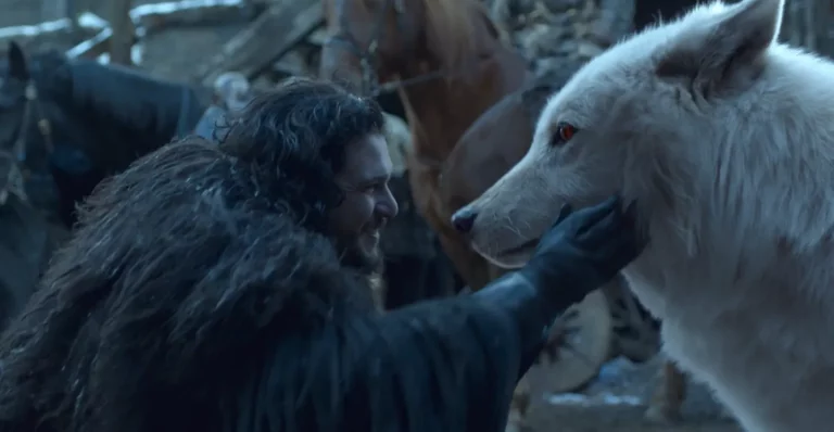 Empresa que trouxe lobo terrível de volta prepara nova Arca de Noé