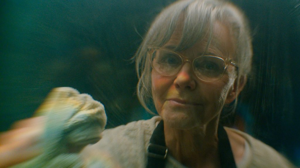 O fenômeno literário ‘Criaturas Extraordinariamente Brilhantes’ ganha teaser e data de estreia
