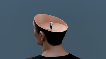 O “Marco Zero” da Imortalidade Digital: Cientistas emulam cérebro de mosca e abrem portas para o futuro humano