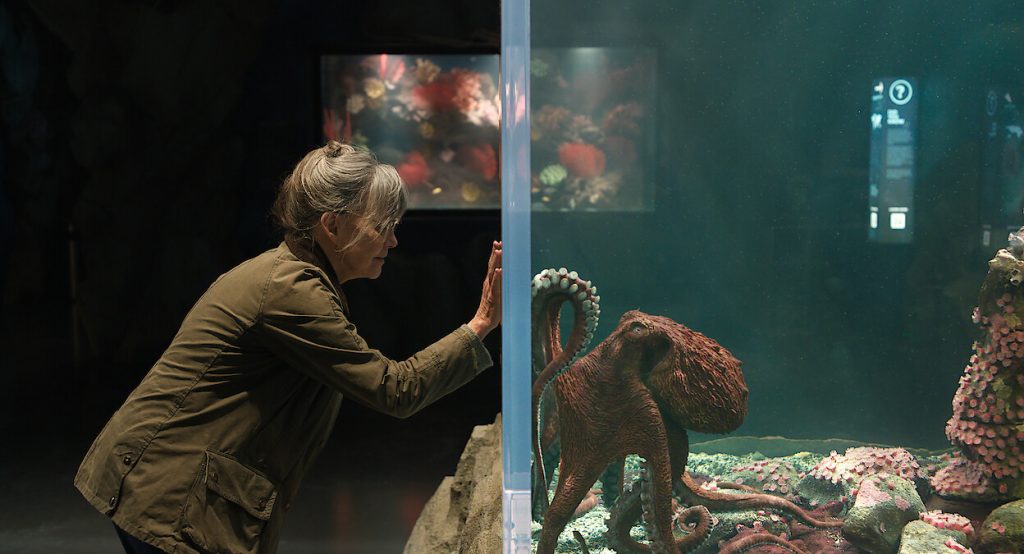 ‘Criaturas Extraordinariamente Brilhantes’: A amizade entre uma viúva e um polvo que vai derreter seu coração ganha trailer
