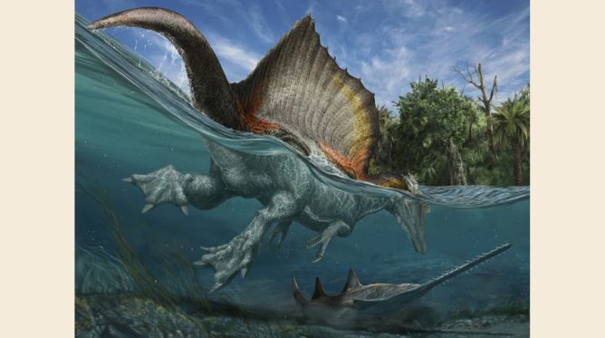 Spinosaurus