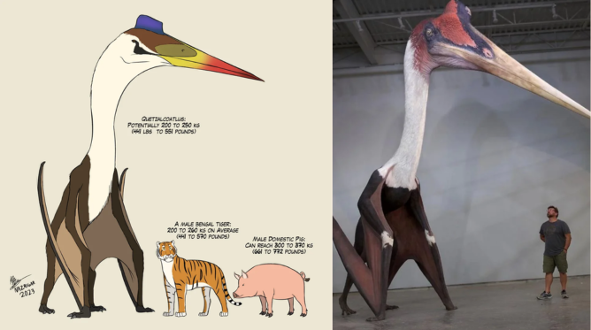 Quetzalcoatlus