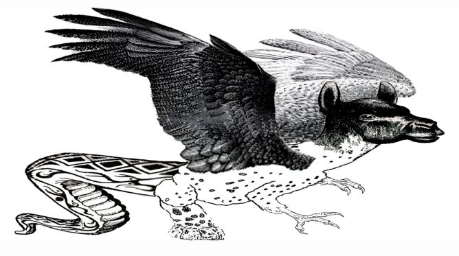 dragão amaru desenho antigo