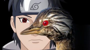 Ave Brasileira com o “Sharingan da Vida Real” Quebrou a Internet!