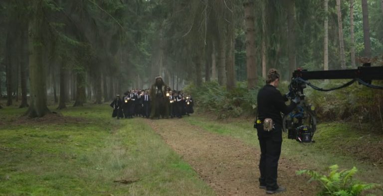 ‘À Procura de Harry: A Arte Por Trás da Magia’: Especial de bastidores ganha data; assista o trailer