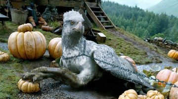 Harry Potter: série confirma 3 criaturas mágicas que não estão nos filmes