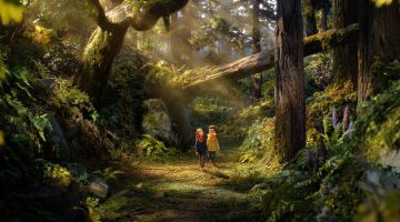 ‘O Bosque Selvagem’: Estúdio LAIKA revela trailer de sua animação mais ambiciosa