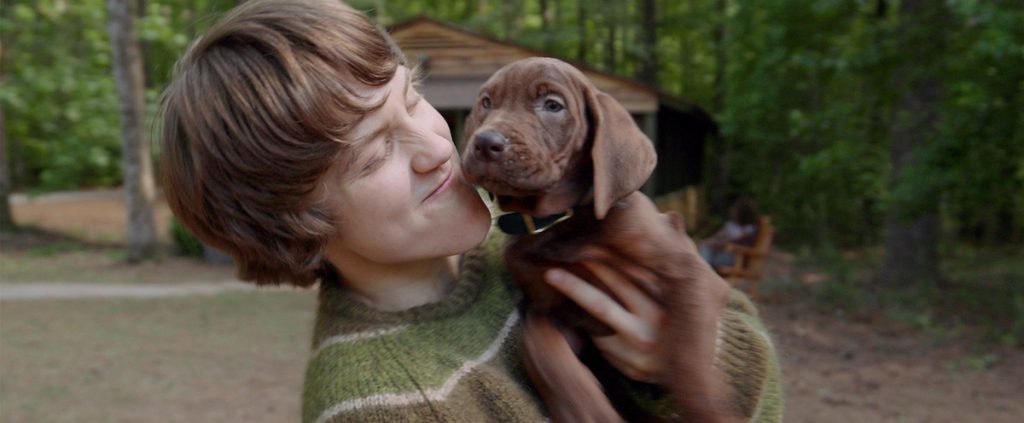 Scooby-Doo: A Origem encerra filmagens e mostra mais do protagonista