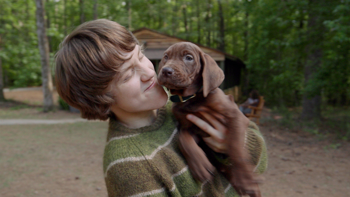 Scooby-Doo: live-action prequel da Netflix ganha o teaser mais fofo!