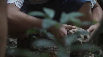 ‘Morte e Mistério na Amazônia’ estreia nesta quinta na HBO Max