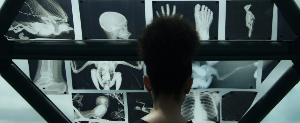 ‘Cartório das Almas’: ficção científica de Léo Bello chega aos cinemas em 29 de outubro
