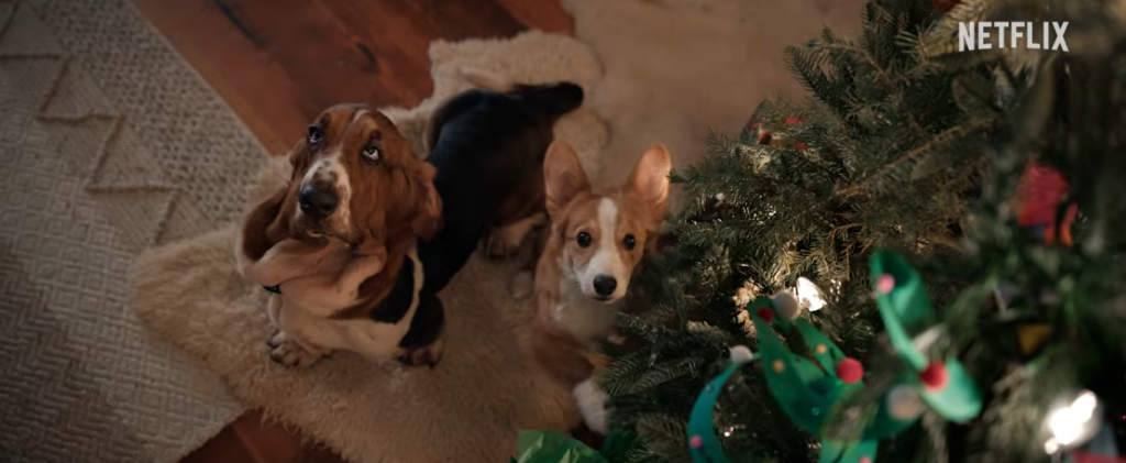 ‘O Natal Perfeito de um Cachorro’: Netflix divulga trailer do filme com Dennis Quaid